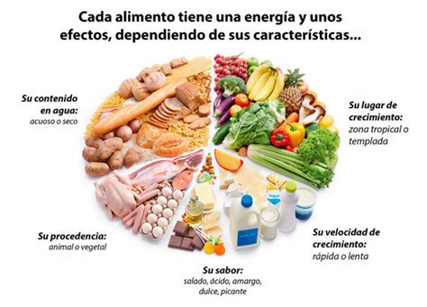 Propiedades EnergÉticas De Los Alimentos Amaya Flores
