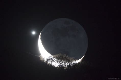 Apod 2019 February 6 Moon And Venus Appulse Over A Tree