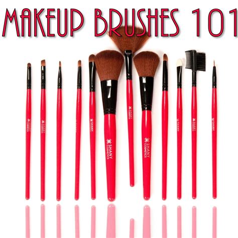 Makeup Brushes 101 You Put It On