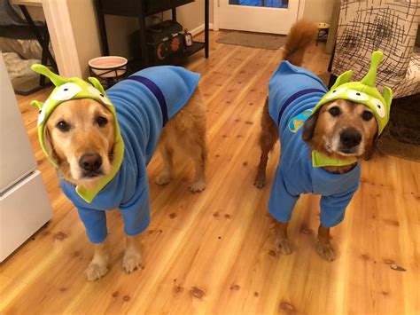 Alien Dog Costume Toy Story Alien Dog Outfit Halloween Dog Etsy