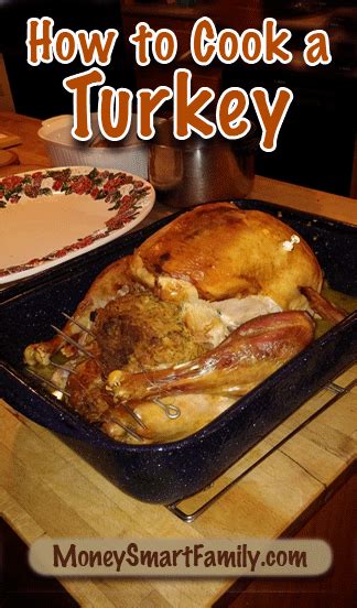 how to cook a turkey like a pro video and tutorial