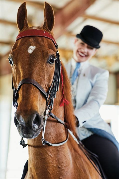 The Dance Of The American Saddlebred
