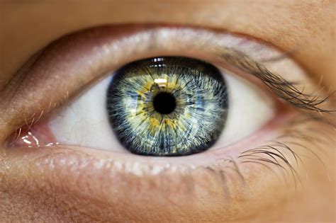 Retina Problems Warning Signs You May Have A Retinal Disease Drs