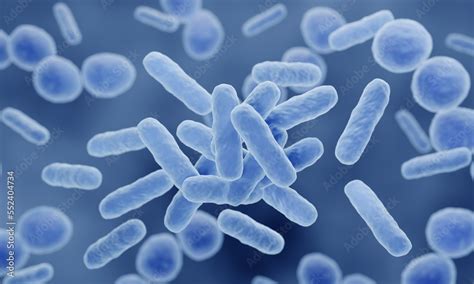 Probiotics Various Probiotic Bacteria Such As Lactobacillus