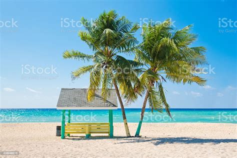 Caribbean Beach Stock Photo Download Image Now Istock
