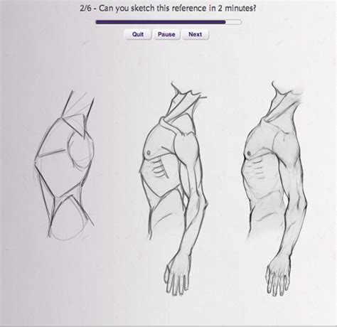 Anatomy Drawing Practice At Explore Collection Of