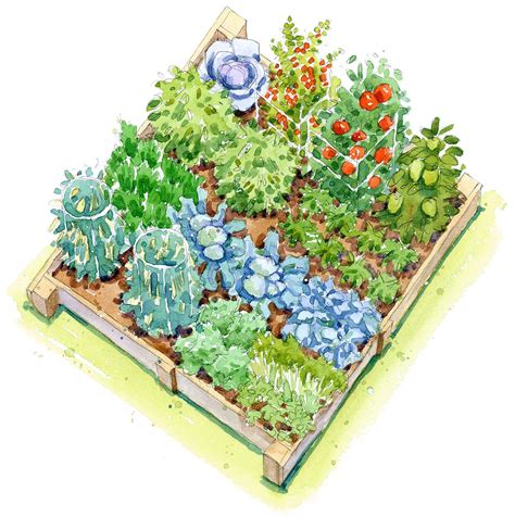 Free Vegetable Garden Plans To Bring A Harvest To Your Backyard