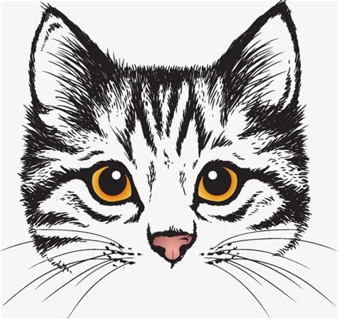 Cute Cat Head Cute Clipart Cat Clipart Head Clipart Png