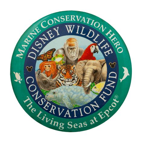 Disney Wildlife Conservation Fund Busy Beaver Button Museum
