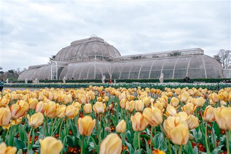 Kew Royal Botanical Garden Largest Botanical Garden Of The World