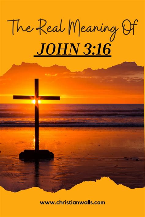 The Real Meaning Of John 316 Niv Kjv For God So Loved The World 2022
