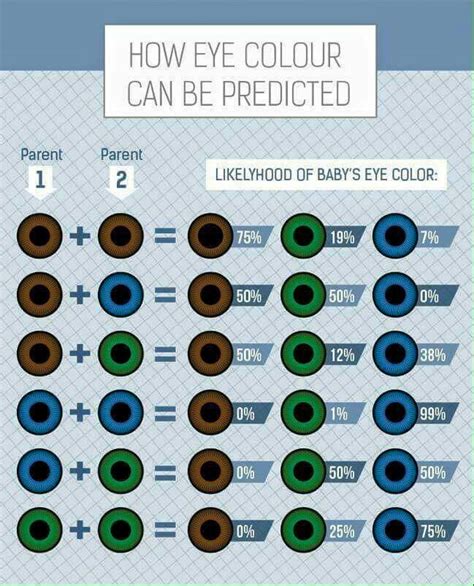 Eye Colour Genetics How To Apply Eye Color Understanding Best Eye