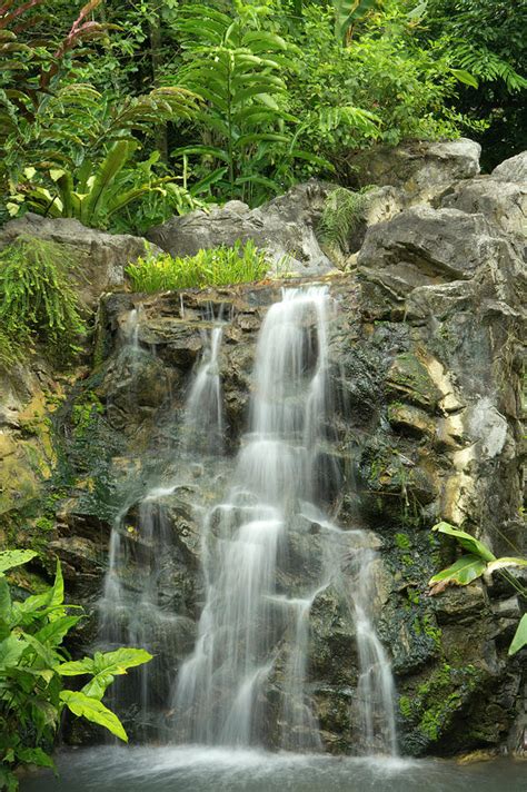 Tropical Rainforest And Waterfall Photograph By Travelpix Ltd