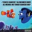 Top memes de buscando a nemo en español :) Memedroid