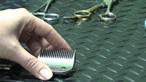 Haircutting templates to plan out a haircut how do. Pet Grooming Hand Tools for the Do-It-Yourself Dog Groomer - YouTube