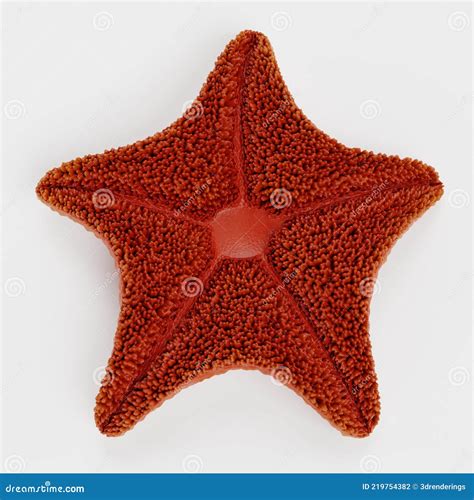 3d Render Of Bat Starfish Stock Illustration Illustration Of Seastar