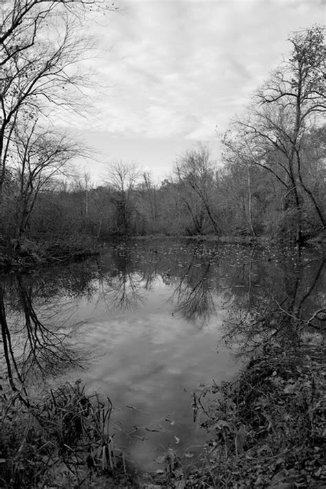 cloudy pond photograph by lee cochrane 12in x 8in 110 fredericksburg center for the