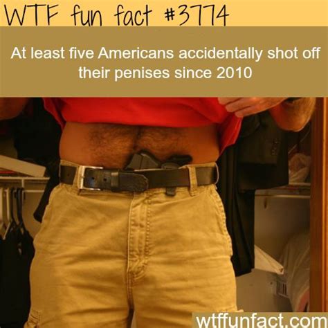 1000 Images About Fun Facts On Pinterest Interesting Facts Facts