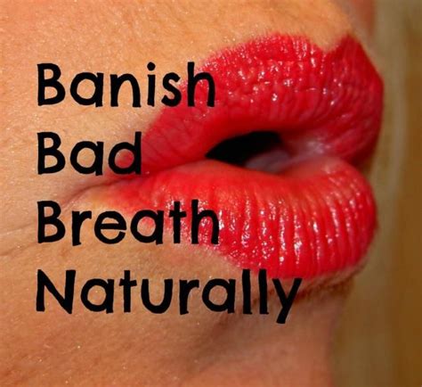 home remedies for bad breath diy anise mouthwash recipe bad breath