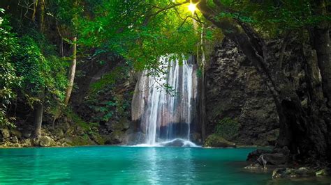 10 Hours Of Waterfall And Jungle Sounds Relaxing Tropical Rainforest