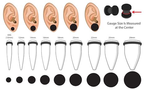 Ear Gauge Sizes Past 1 Inch 🌈types Of Piercings Ear Piercings Ear