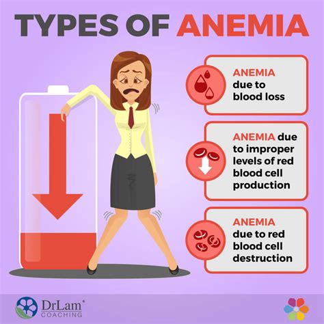 Anemia Types