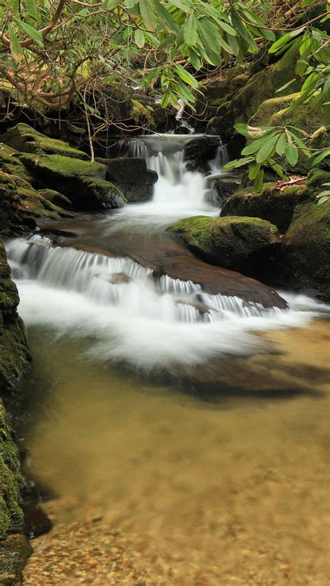 Beautiful Waterfalls Water Stream Algae Rocks Green Plants 4k 5k Hd