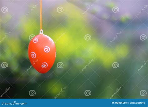 Easter Egg And Flowers Stock Photo Image Of Field Decor 242256560