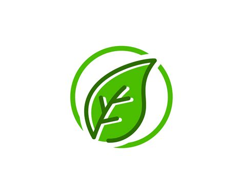 Natural Leaf Logo Icon Vector 547640 Vector Art At Vecteezy