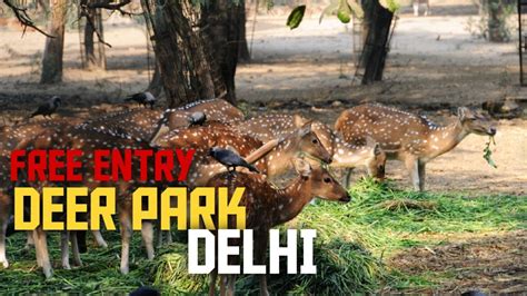 Deer Park Delhi Free Entry Hauz Khas Skatersahil Youtube