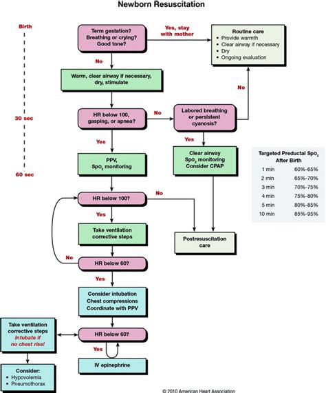 Neonatal Resuscitation Program Malaysia This Figure Is Concerning