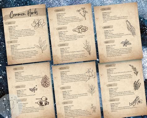Book Of Shadows Herbal Magick Printable Grimoire Pages Bos Etsy Canada