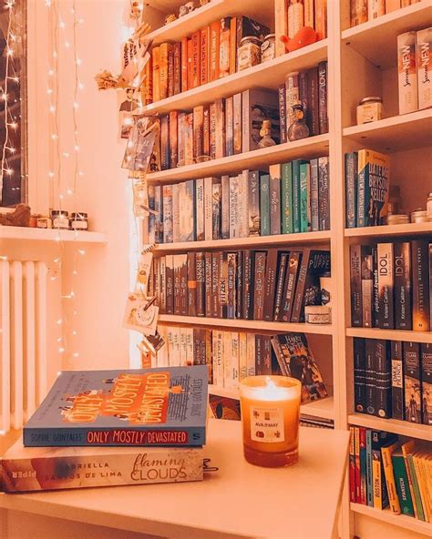 Aesthetic Bookshelf Idea For Bookworms And Booklovers Aesthetic
