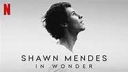 "In Wonder" Review: Shawn Mendes Gives Us A Glimpse Of His Imperfectly ...