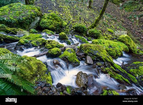 Stream And Mossy Rocks Hi Res Stock Photography And Images Alamy