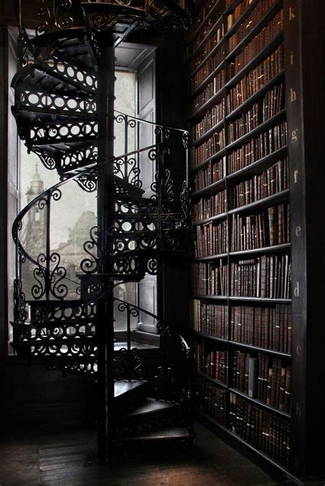 The Library Dark Academia Aesthetic Victorian Library House Design