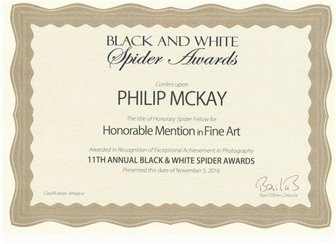 Black And White Spider Awards Philip Mckay Art
