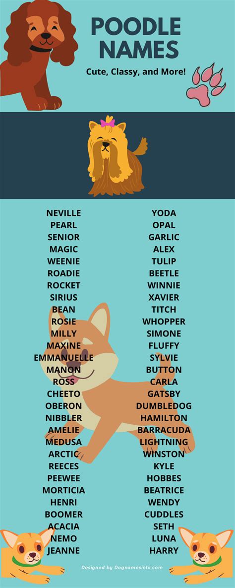 1000 Top Ridiculously Useful Poodle Names For Dogs 2022