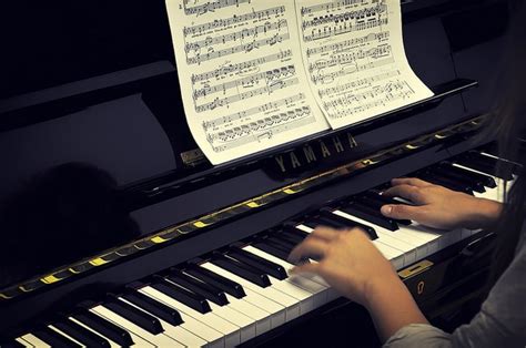 The 30 Best Free Online Music Courses Springboard Blog