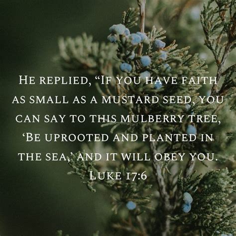 Luke 176 He Replied “if You Have Faith As Small As A Mustard Seed