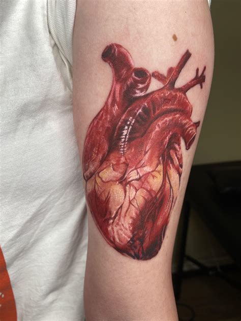 Realistic Heart Done By Maria Moskaleva Magenta Shop Russia R Tattoos