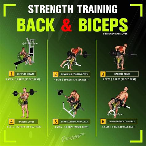 Back And Biceps The Best Workout Combination Biceps