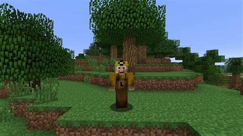 This only one command creation adds natural disasters into your vanilla minecraft world. Minecraft world pre-generator, using just a single vanilla ...