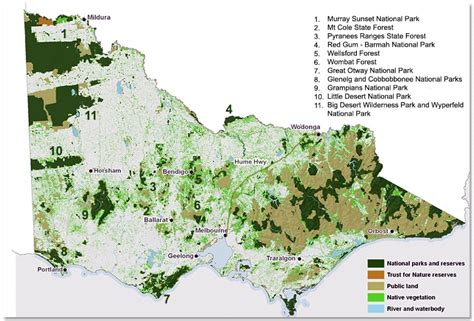 Western Woodlands And Forests Of Victoria Victorian National Parks
