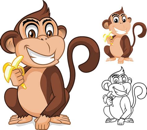 Monkey Eating Banana Illustrations Royalty Free Vector