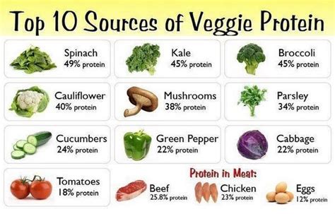 10 Protein Rich Foods For Vegetarians To Include In Their Diets All