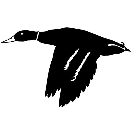 Mallard In Flight Duck Hunting Decal Mallard In Flight Duck Sticker