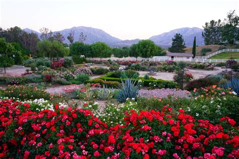 Visit Temecula Valley Announces Hidden Gems For Visitors To Discover