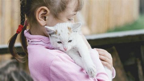 Pet Animals For Kids This Means Different Things Depending On The