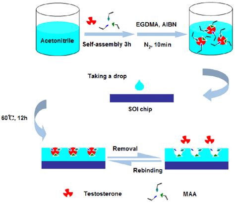 Schematic For Preparation Molecularly Imprinted Polymers On The Surface